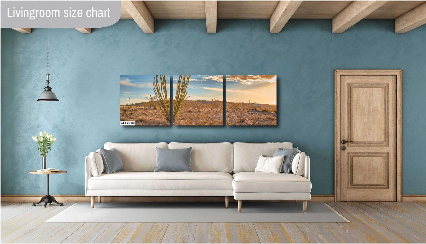 Big Bend Ocotillo Art Print - Terlingua Texas Desert Photography Wall Decor on Canvas, Wood, & Metal – Unique Home Decor