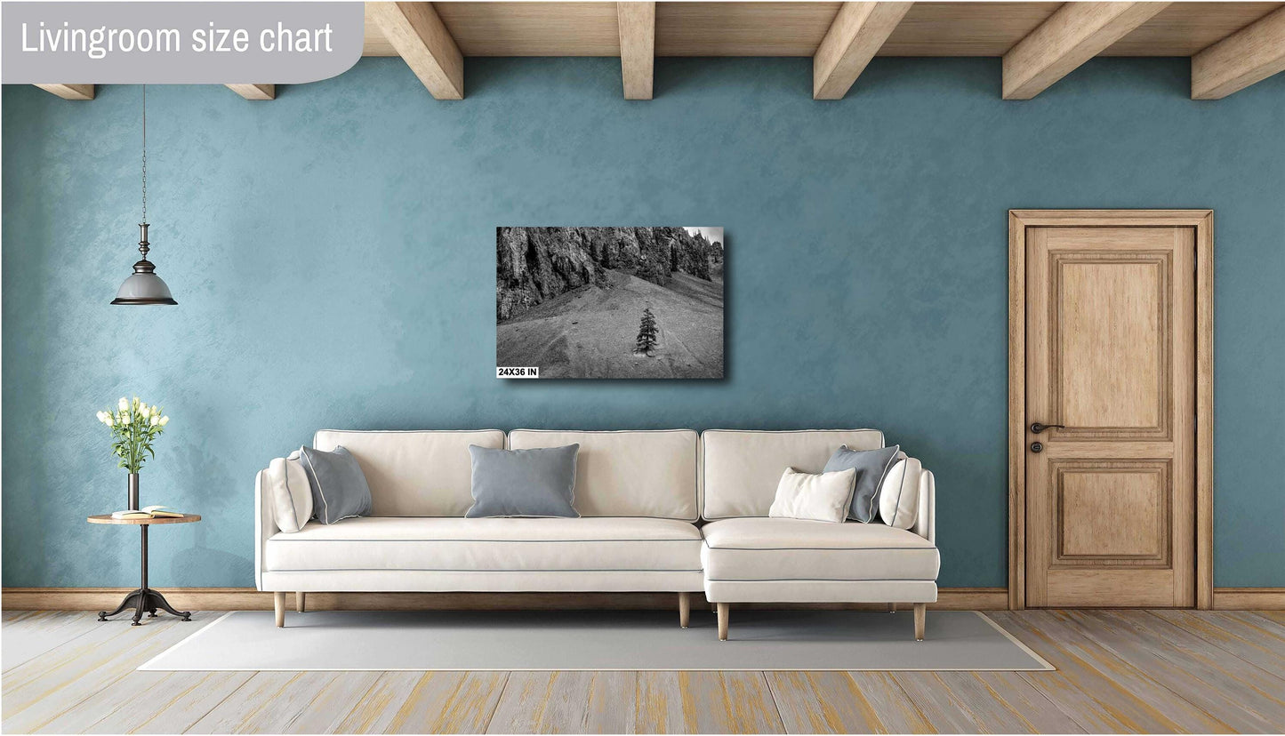 Mountain Wall Art - Lone Pine Tree in Rocky Mountains: Black & White Nature Photography Wall Art Print - Colorado Alpine Loop