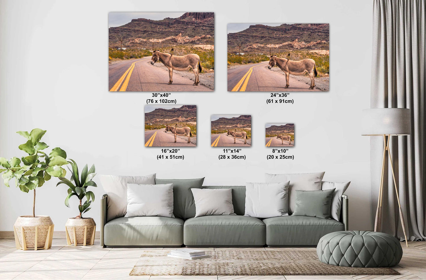 Route 66 Oatman Arizona Donkey Wall Art Print | Americana Desert Photography | Home Decor & Gifts