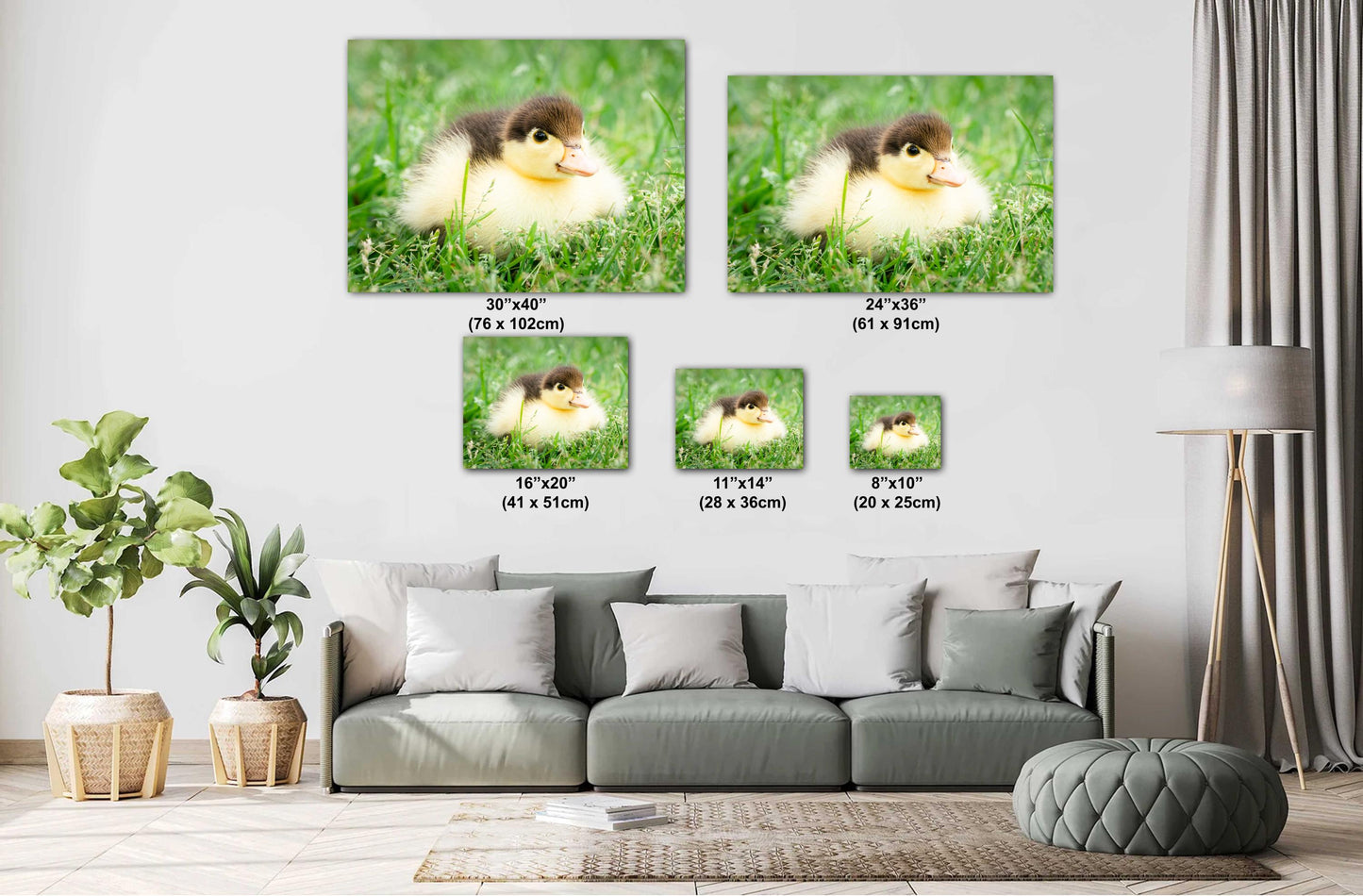 Nursery Wall Decor - Adorable Duckling Print: Nursery Farm Animal Wall Art for Modern Farmhouse Decor (Paper/Canvas/Acrylic/Metal)
