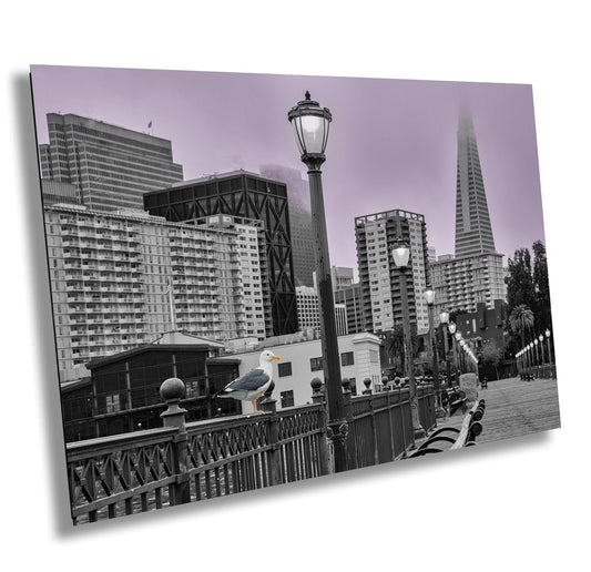 San Francisco Unique Wall Art - Foggy San Francisco Pier 7 with Transamerica Pyramid and Seagull - Urban Landscape Photography