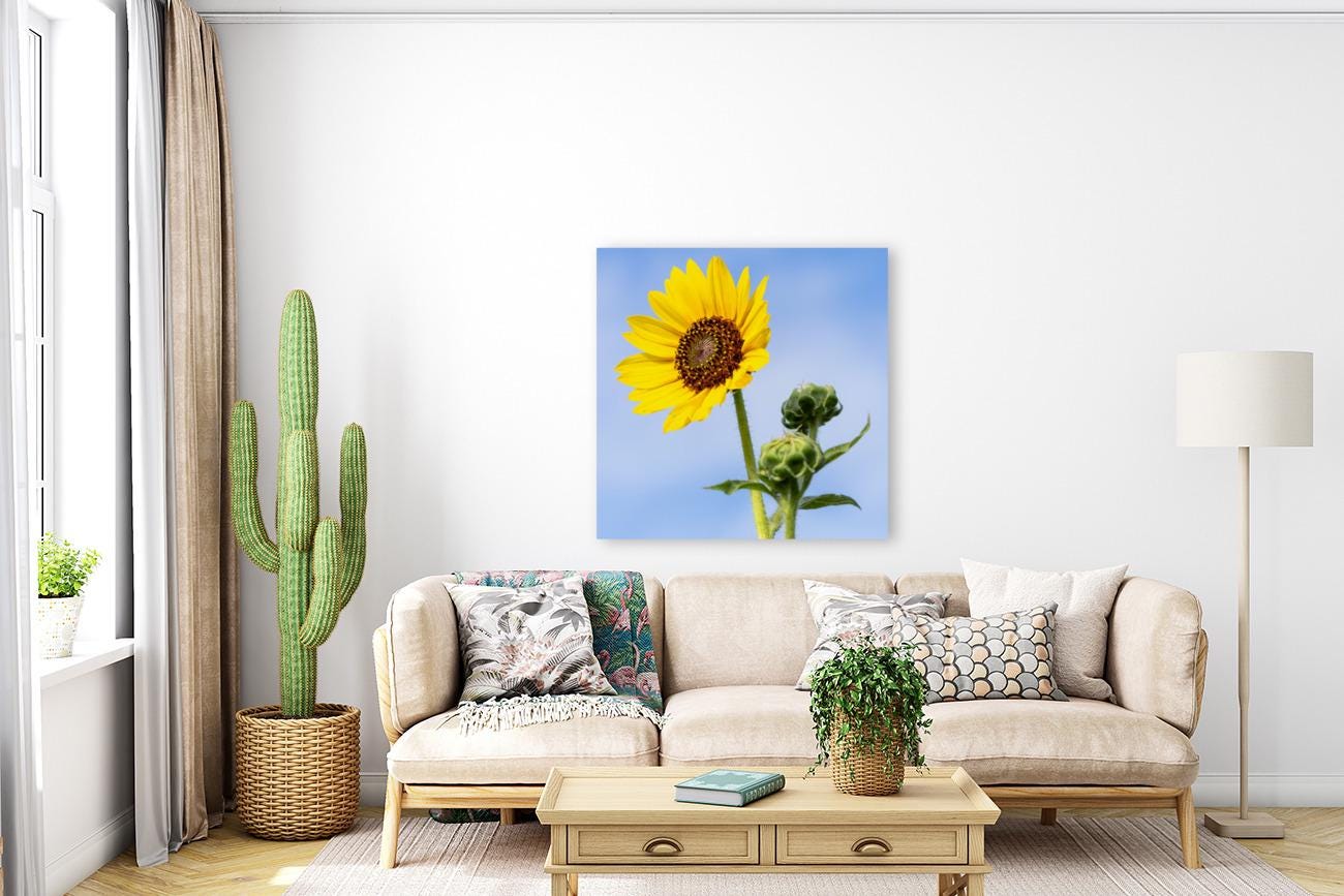 Sunflower Photo Print | Farmhouse Wall Art, Bright Nature Botanical Digital Artwork for Home Decor, Large Canvas or Paper