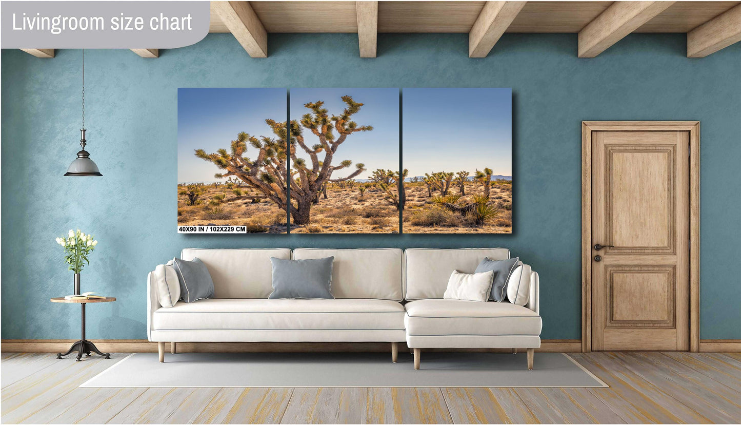 Joshua Tree National Park Photo Print: Desert Sunset Canvas & Metal Wall Art Decor, Nature Landscape Decor Poster