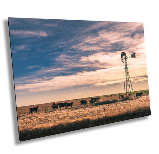 Farmhouse Wall Decor Countryside Black Cows & Windmill Fine Art Print, Modern Farmhouse Art, Rustic Home Photography, Texas Landscape Decor