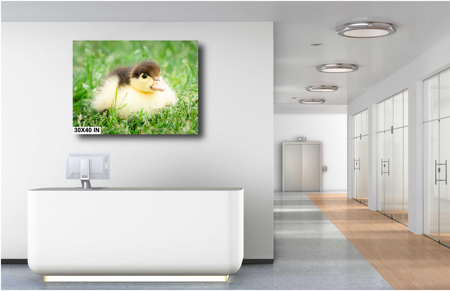 Nursery Wall Decor - Adorable Duckling Print: Nursery Farm Animal Wall Art for Modern Farmhouse Decor (Paper/Canvas/Acrylic/Metal)