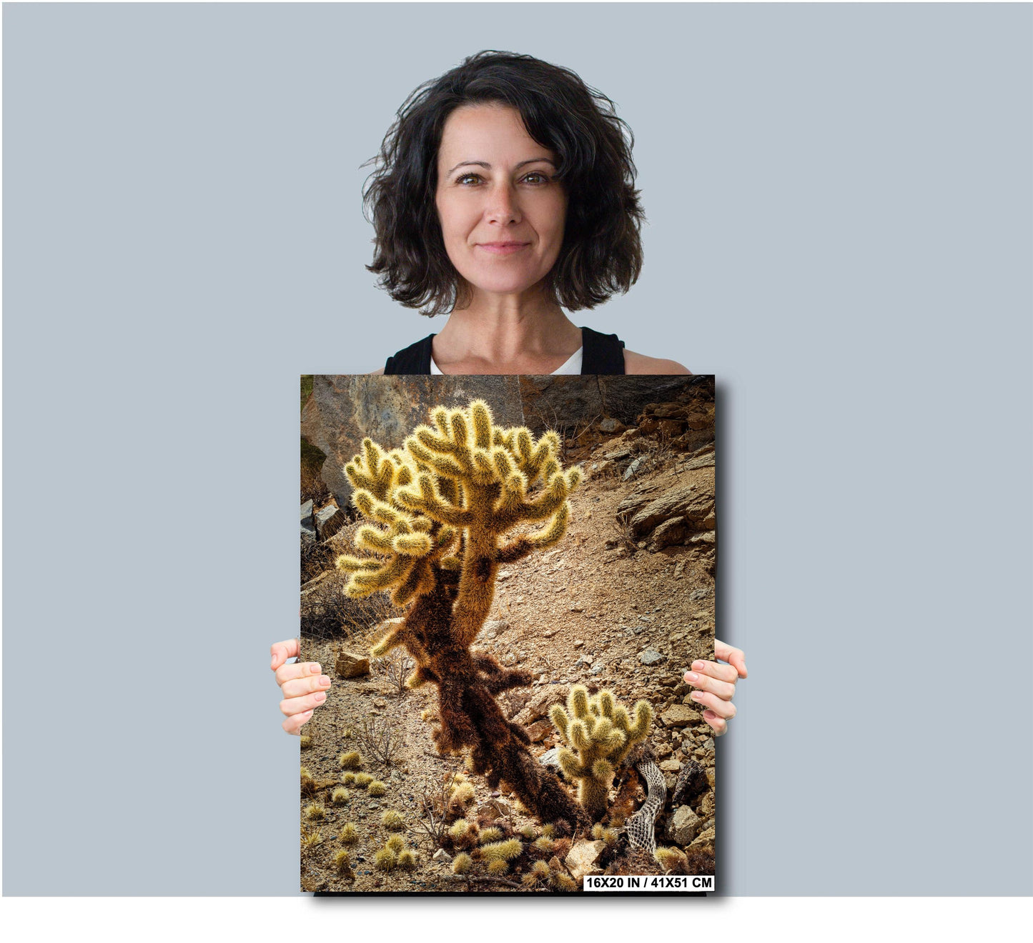 Cactus Print Wall Art - Teddy Bear Cholla Photo Poster - Arizona Nevada California Desert Cactus Decor on Paper, Canvas, Acrylic, or Metal