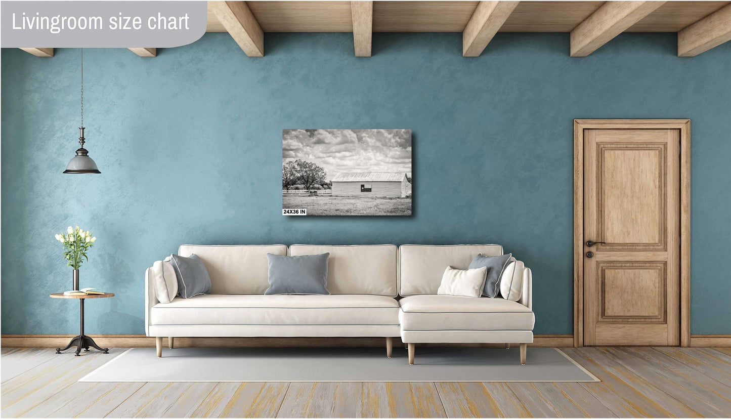 Texas Wall Art Photography - Texas Flag Barn Wall Art | Rustic Black & White Decor for Western Farmhouse Home