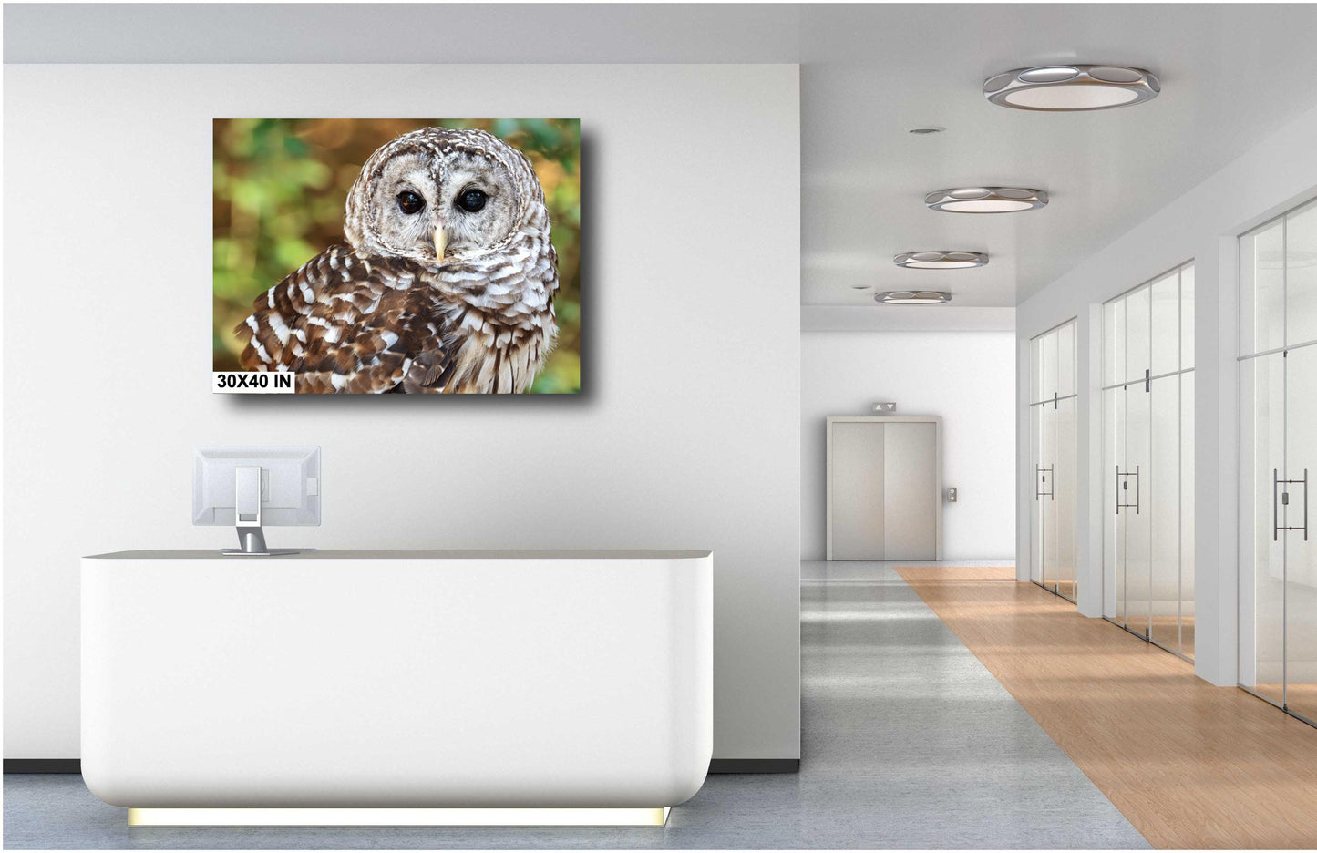 Barred Owl Portrait: Premium Photo Paper or Ready to Hang Canvas, Acrylic or Metal Wildlife Wall Art for Nature Lovers