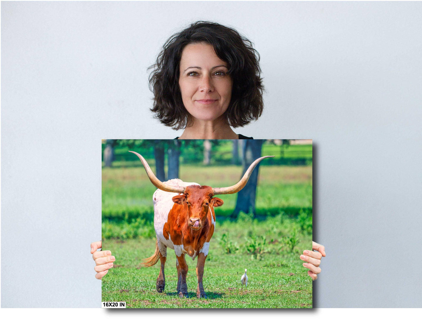 Longhorn Steer Springtime Photograph | Texas Photography Art Print | High Quality Canvas, Acrylic & Metal Options
