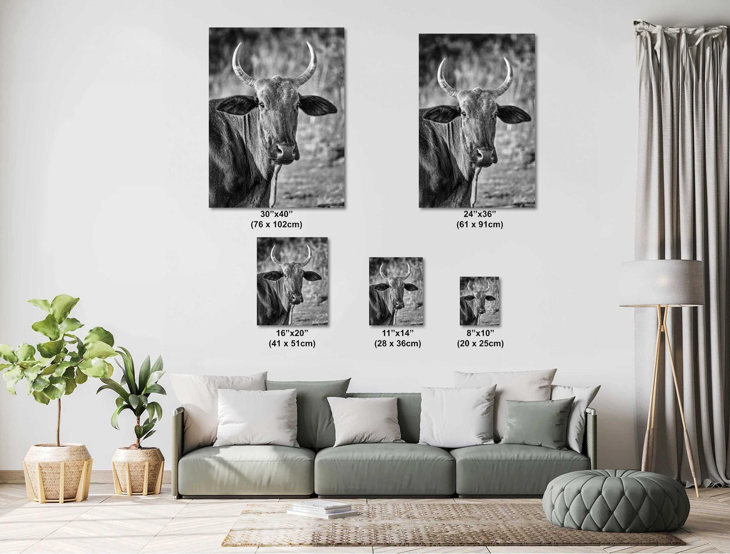 Farmhouse Wall Decor: Rustic Bull Print, Highland Cattle Photography on Canvas, Paper, Acrylic or Metal