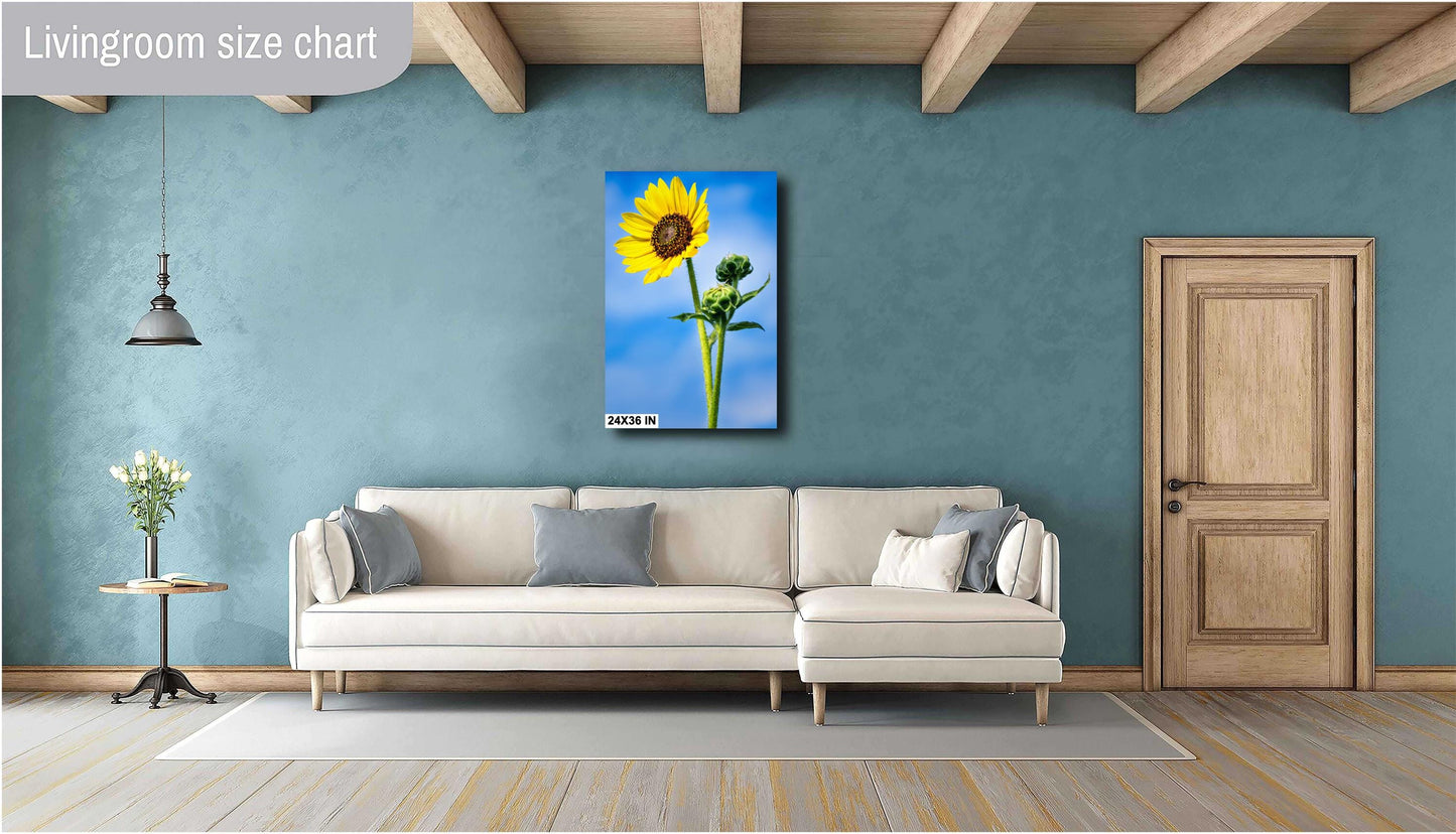 Sunflower Photography: Botanical Wall Art Print, Texas Nature Canvas, Paper, Acrylic & Metal Decor for Home or Office