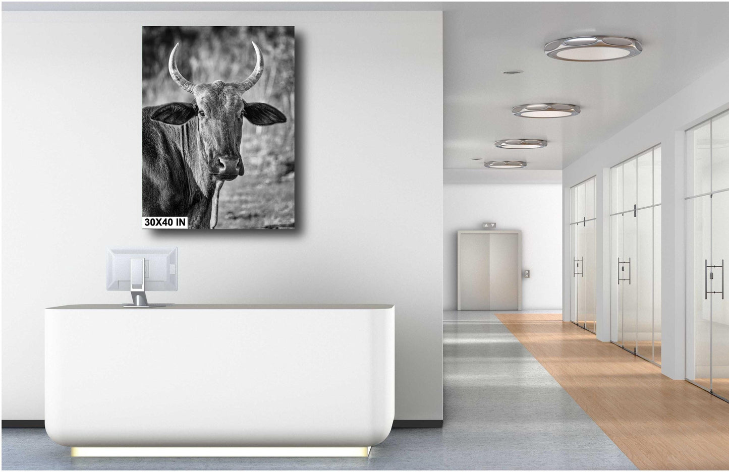Farmhouse Wall Decor: Rustic Bull Print, Highland Cattle Photography on Canvas, Paper, Acrylic or Metal