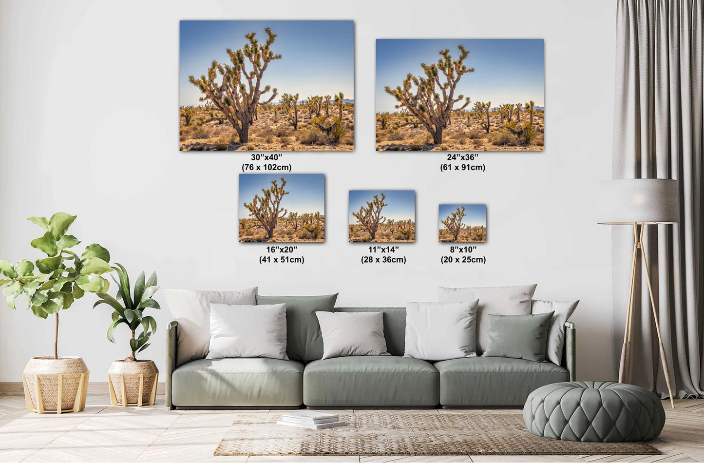Joshua Tree National Park Photo Print: Desert Sunset Canvas & Metal Wall Art Decor, Nature Landscape Decor Poster