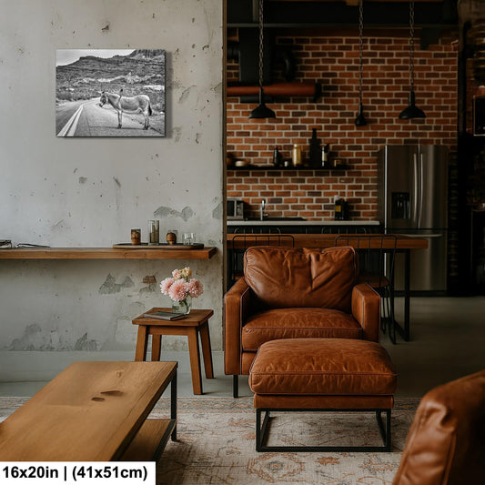 Route 66 Donkey Photo Print - Arizona Desert Art | Black & White Americana Wall Decor