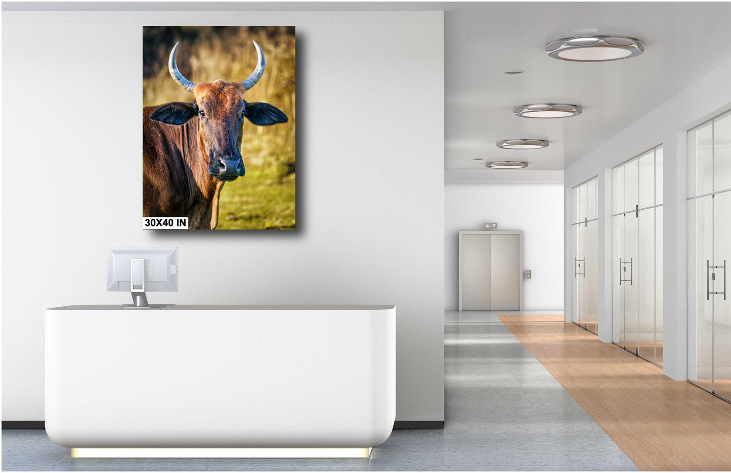 Farmhouse Wall Art - Rustic Cow Photography: Bull Print Wall Art Decor on Paper, Canvas, Acrylic & Metal