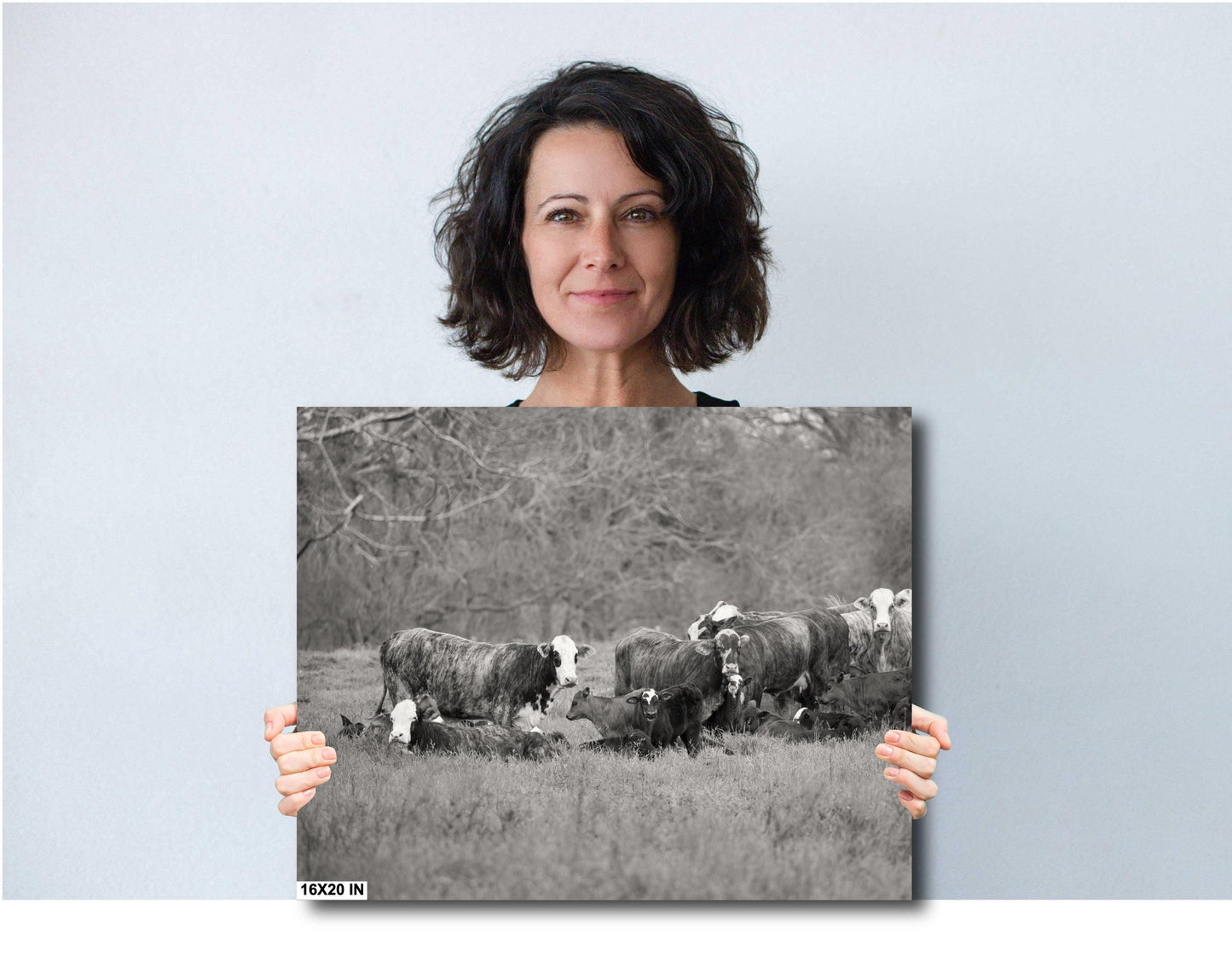 Country Wall Art - Rustic Black and White Cattle Photo Print - Cows & Calves Farm Art for Country Decor in Paper, Canvas, Acrylic or Metal