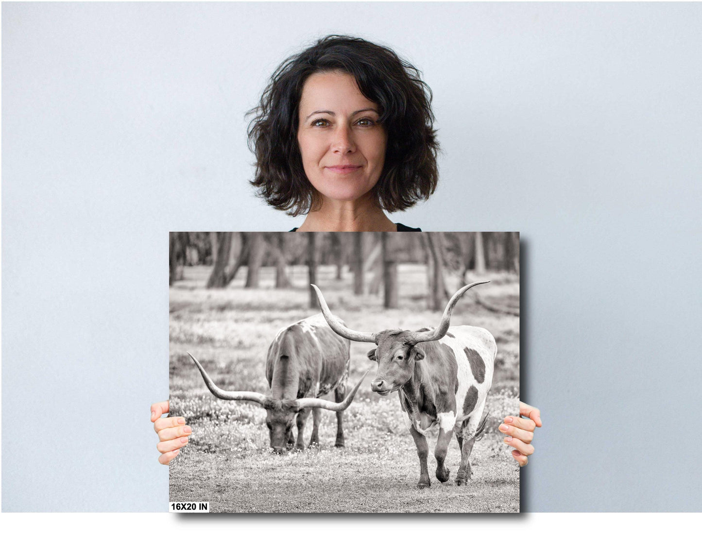 Longhorn Cow Photo | Rustic Ranch Wall Art for Farmhouse Decor | Modern Prints on Paper, Canvas, Acrylic & Metal