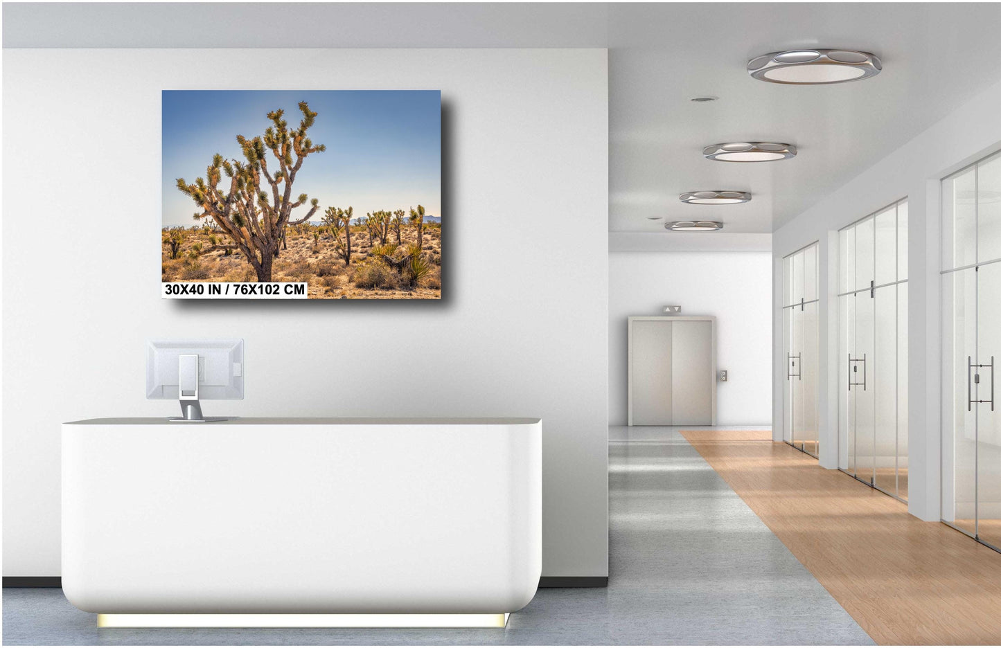 Joshua Tree National Park Photo Print: Desert Sunset Canvas & Metal Wall Art Decor, Nature Landscape Decor Poster