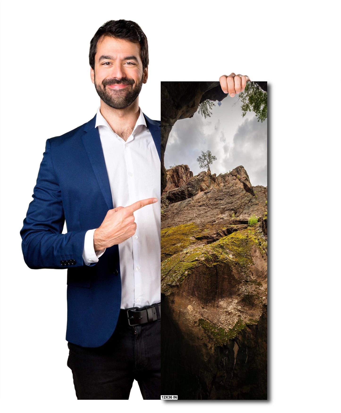 Majestic Rocky Mountain Landscape: Mossy Cliffs at Box Canon Falls, Colorado Alpine Loop Wall Art