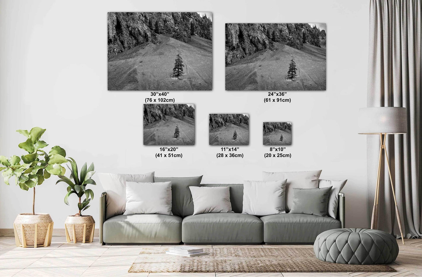 Mountain Wall Art - Lone Pine Tree in Rocky Mountains: Black & White Nature Photography Wall Art Print - Colorado Alpine Loop