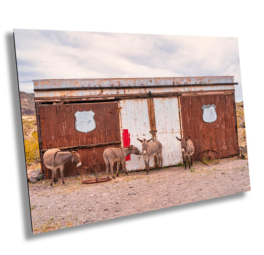 Route 66 Oatman Burros Wall Art - Americana Donkeys Print for Route 66 Fans, Arizona Decor in Photo Paper, Canvas, Acrylic or Metal