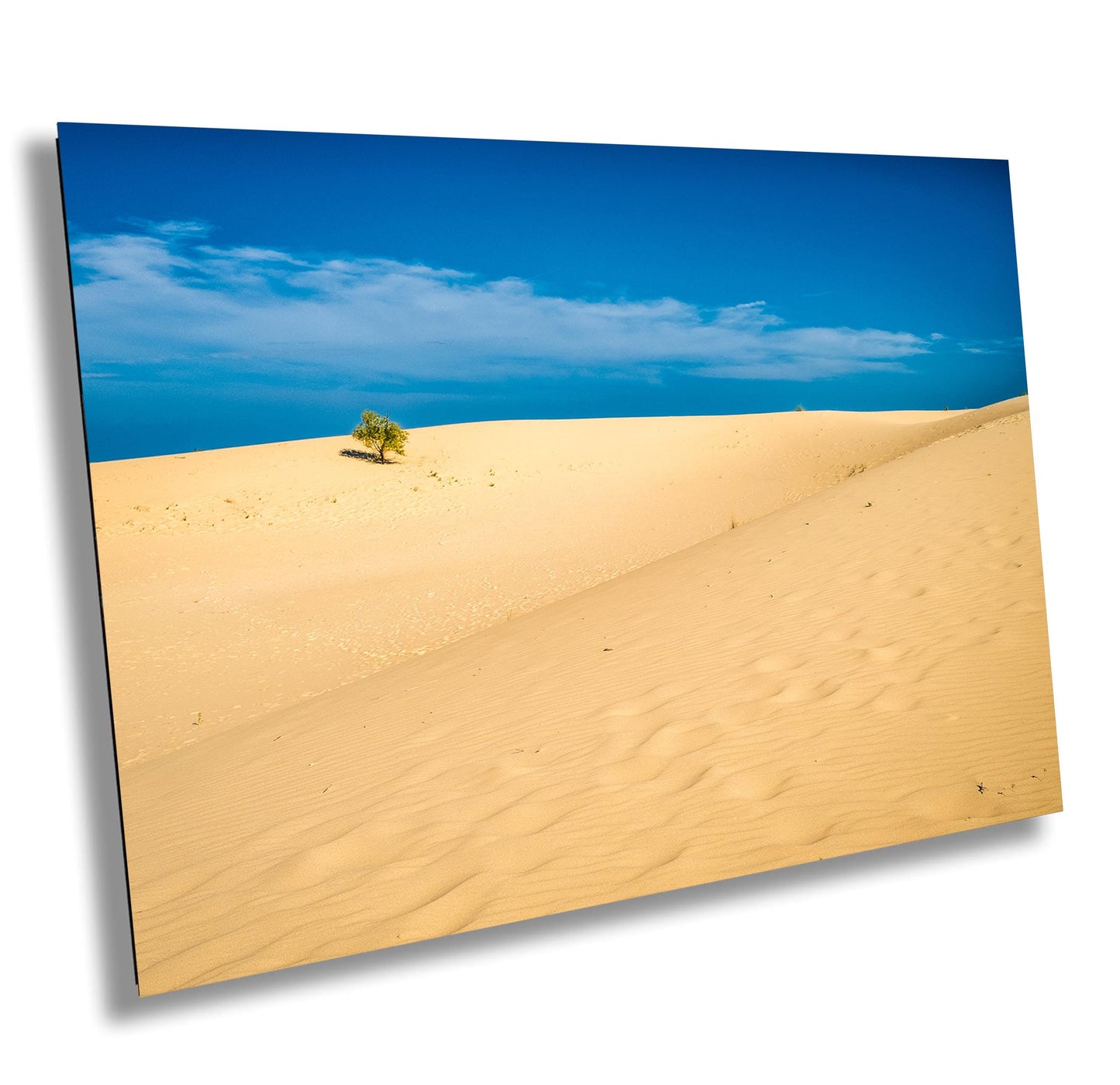 Monahans Sand Hills Photography - Texas Desert Landscape Wall Art Print for Southwest Home Decor % Unique Gift Idea