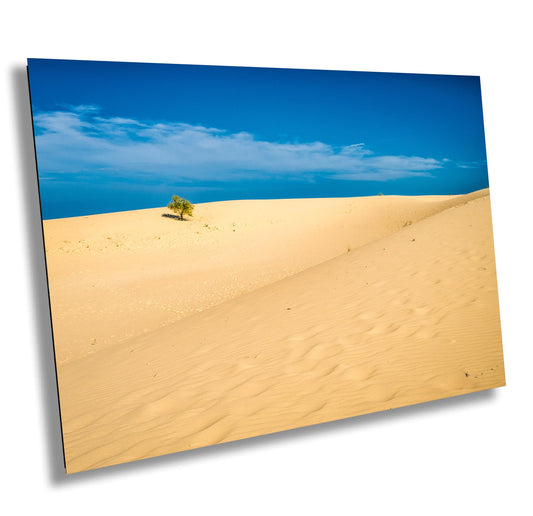 Monahans Sand Hills Photography - Texas Desert Landscape Wall Art Print for Southwest Home Decor % Unique Gift Idea