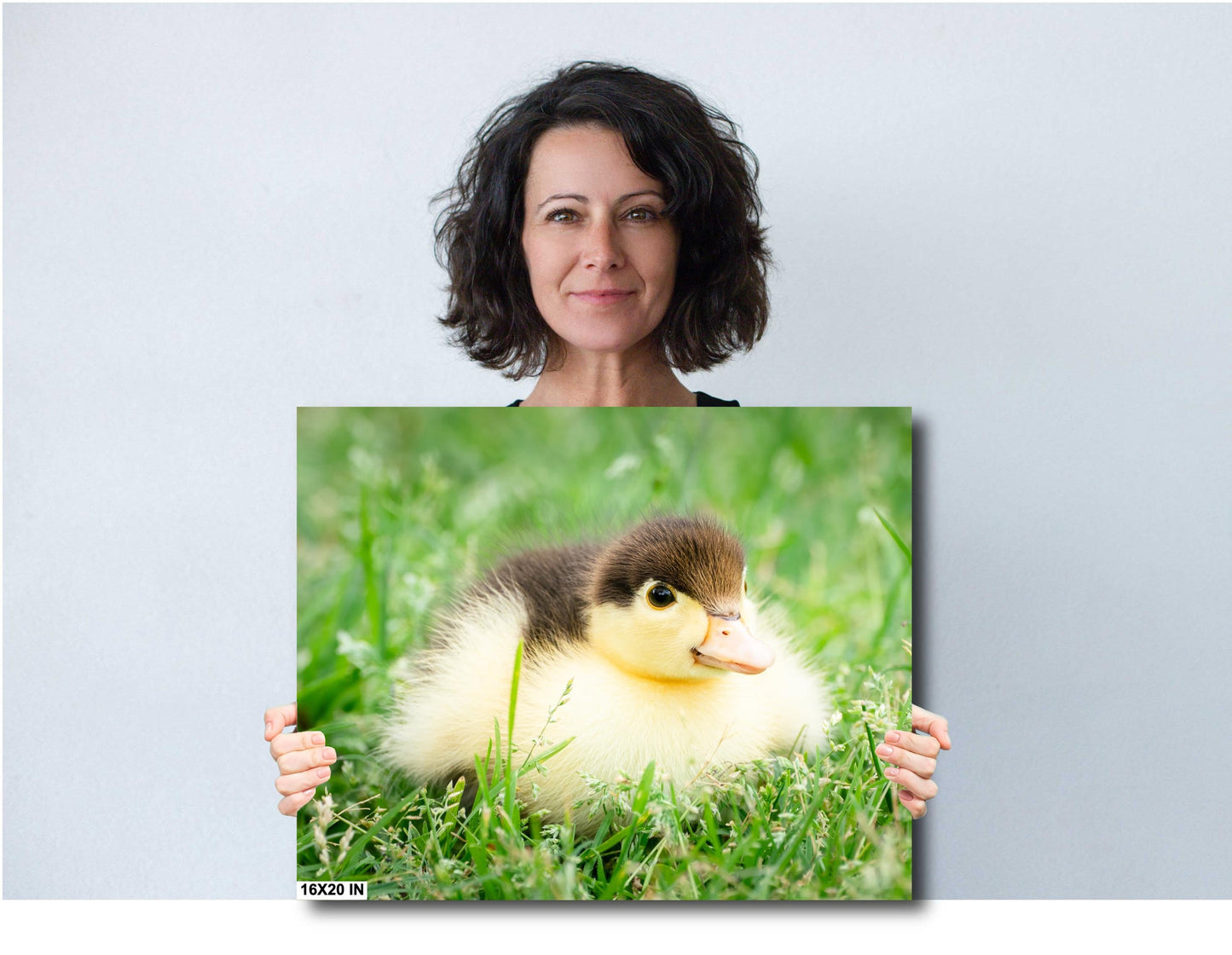 Nursery Wall Decor - Adorable Duckling Print: Nursery Farm Animal Wall Art for Modern Farmhouse Decor (Paper/Canvas/Acrylic/Metal)