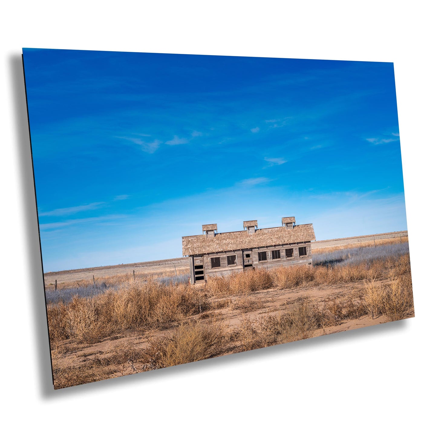 Rustic Wall Decor - Abandoned Texas Homestead Print: Farmhouse & Chicken Coop Landscape, Art on Canvas or Premium Photo Paper