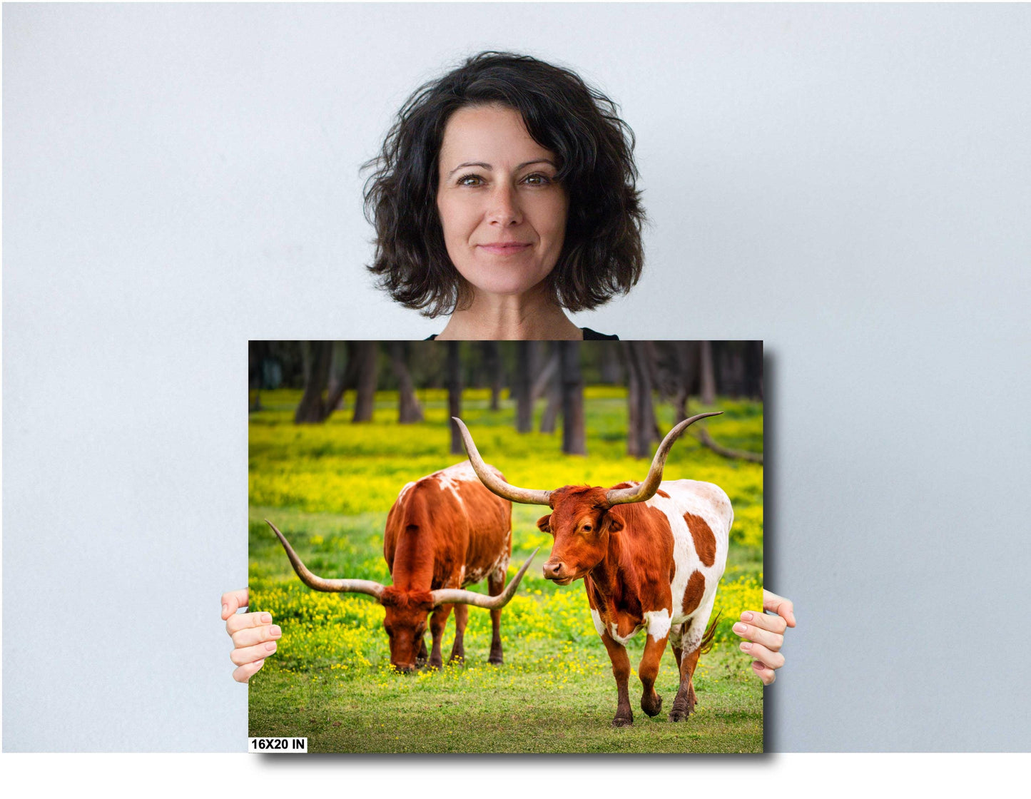 Cattle Wall Canvas - Rustic Longhorn Cow Photography | Ranch Wall Art for Modern Farmhouse Decor | Canvas, Paper, Acrylic or Metal Print