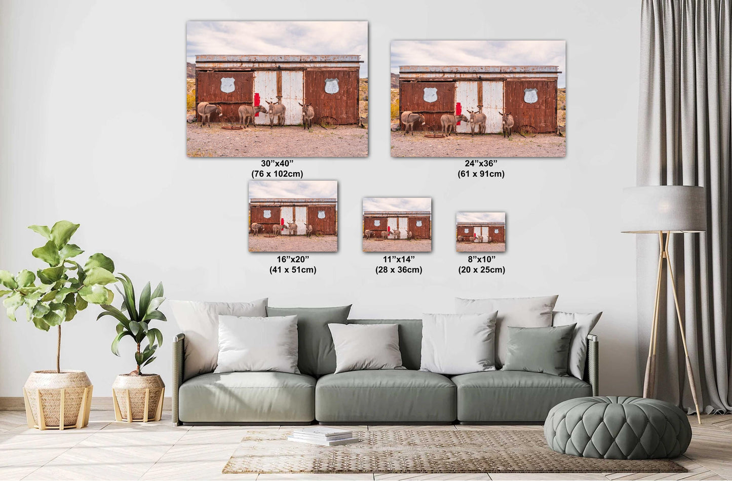 Route 66 Oatman Burros Wall Art - Americana Donkeys Print for Route 66 Fans, Arizona Decor in Photo Paper, Canvas, Acrylic or Metal