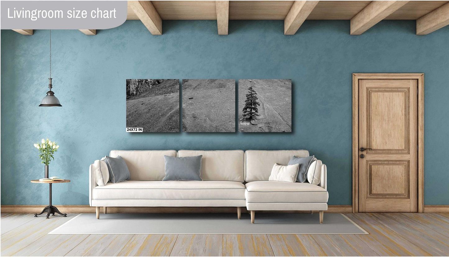 Mountain Wall Art - Lone Pine Tree in Rocky Mountains: Black & White Nature Photography Wall Art Print - Colorado Alpine Loop