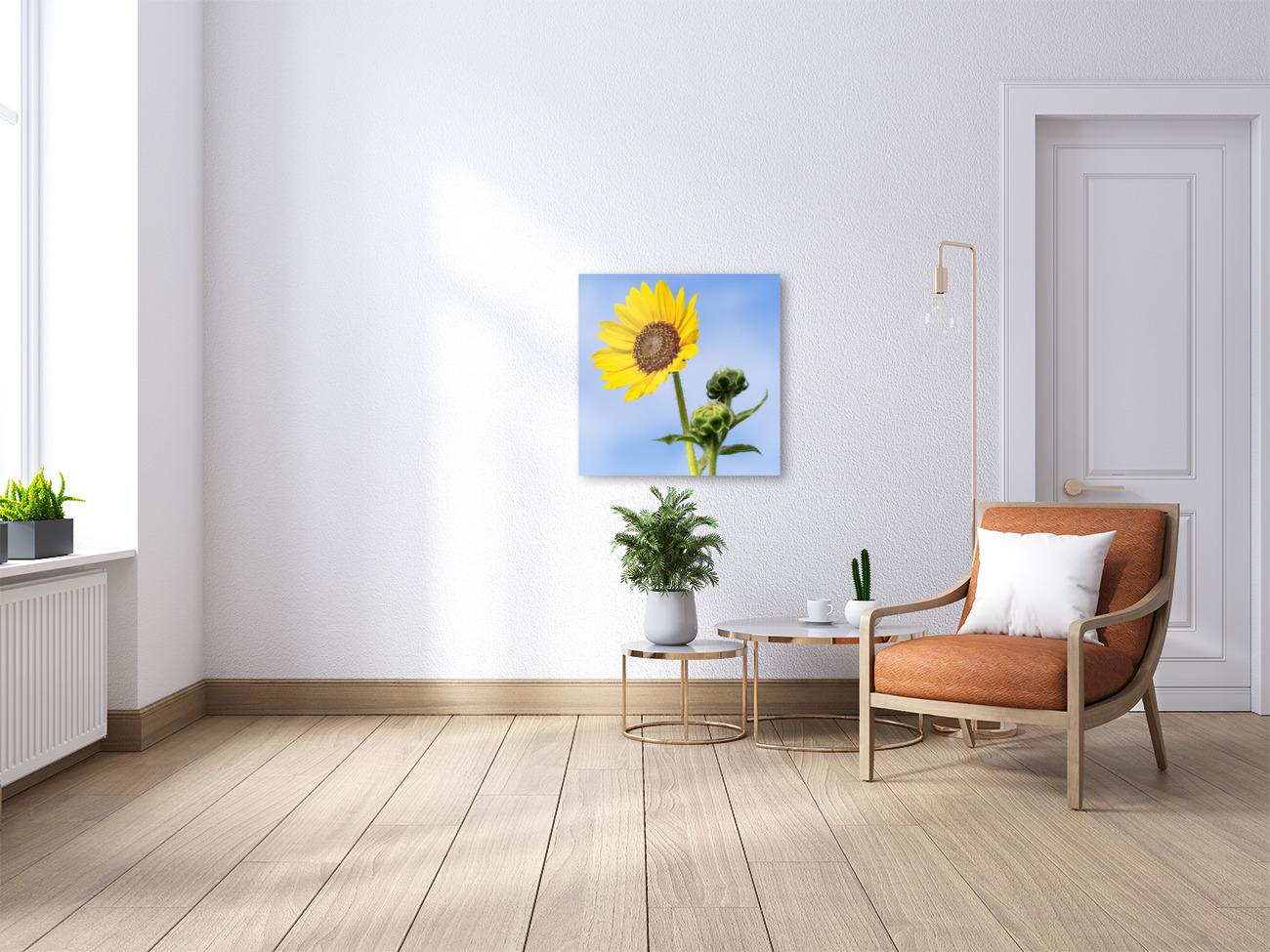 Sunflower Photo Print | Farmhouse Wall Art, Bright Nature Botanical Digital Artwork for Home Decor, Large Canvas or Paper