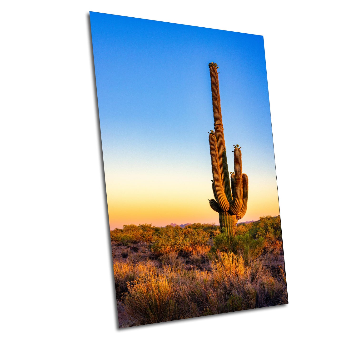 Desert Wall Decor - Arizona Desert Landscape Print: Saguaro Cactus Wall Art, Boho Wilderness Poster for Southwestern Decor