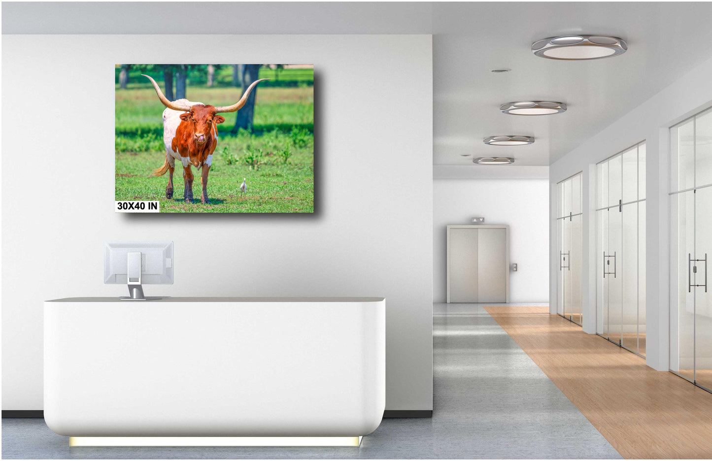 Longhorn Steer Springtime Photograph | Texas Photography Art Print | High Quality Canvas, Acrylic & Metal Options