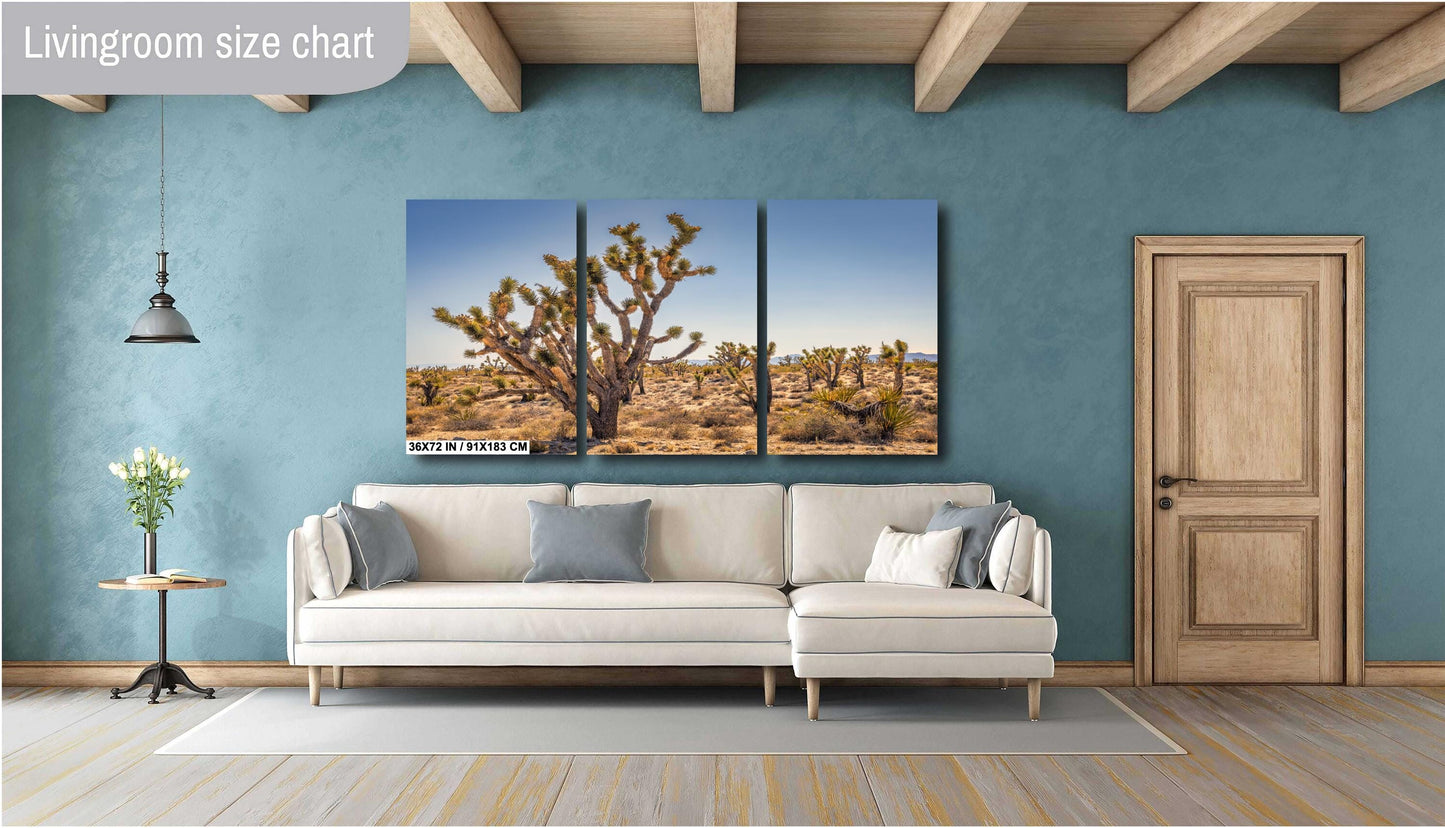 Joshua Tree National Park Photo Print: Desert Sunset Canvas & Metal Wall Art Decor, Nature Landscape Decor Poster