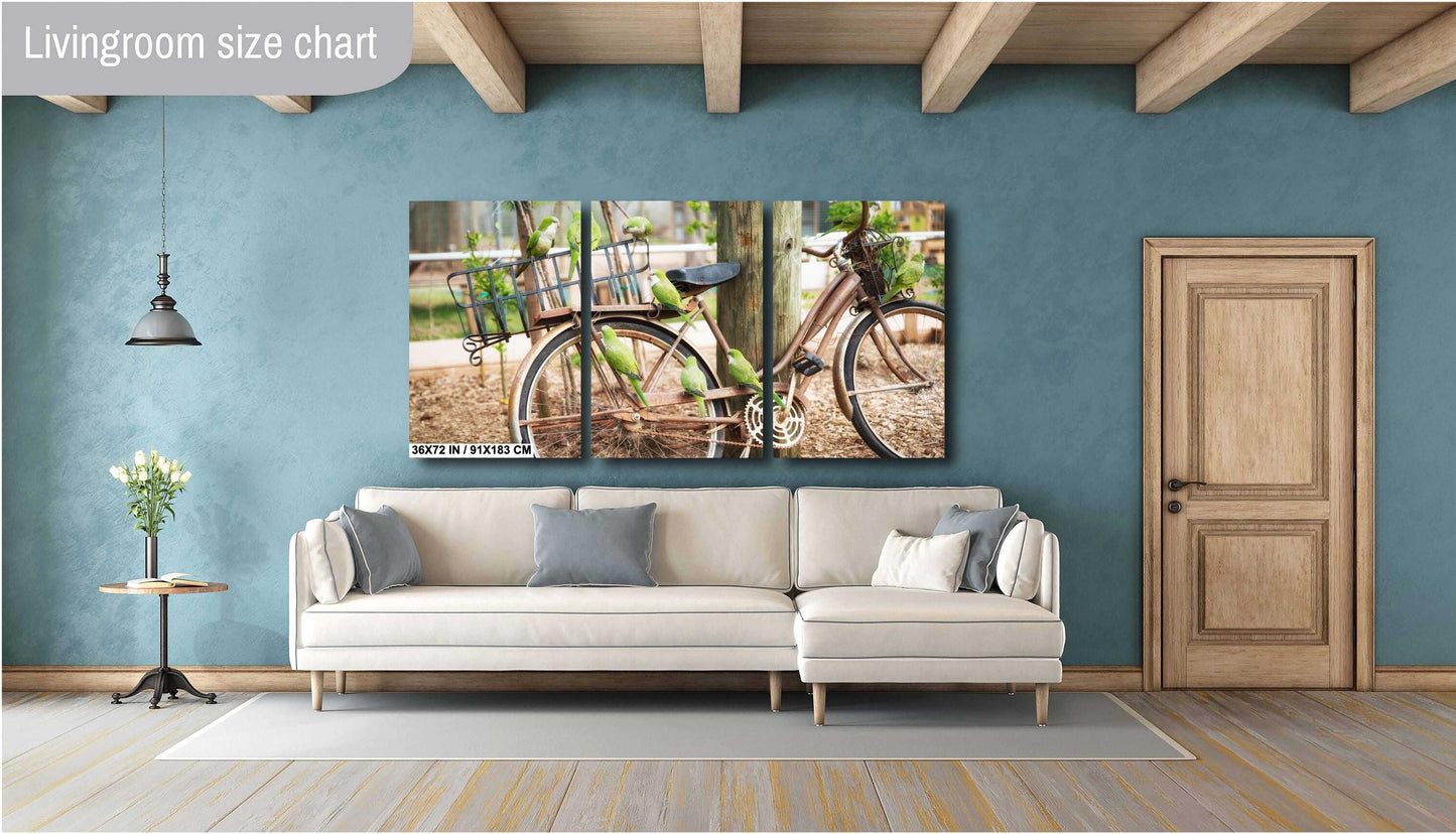 Parrot Wall Art - Antique Bicycle Covered in Quaker Parrots | Fine Art Photo Print, Canvas, Acrylic & Metal Decor for Bird Lovers