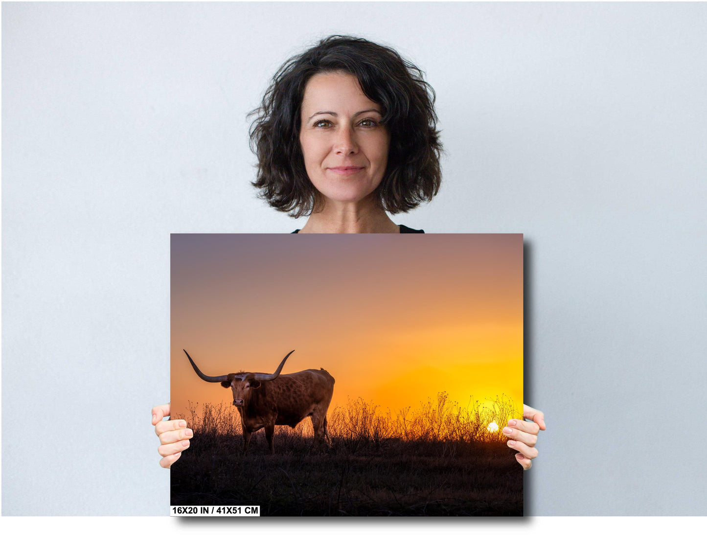 Texas Longhorn Steer at Sunset Wall Decor - Backroad Bull Photography on Premium Paper, Canvas, Acrylic, or Metal