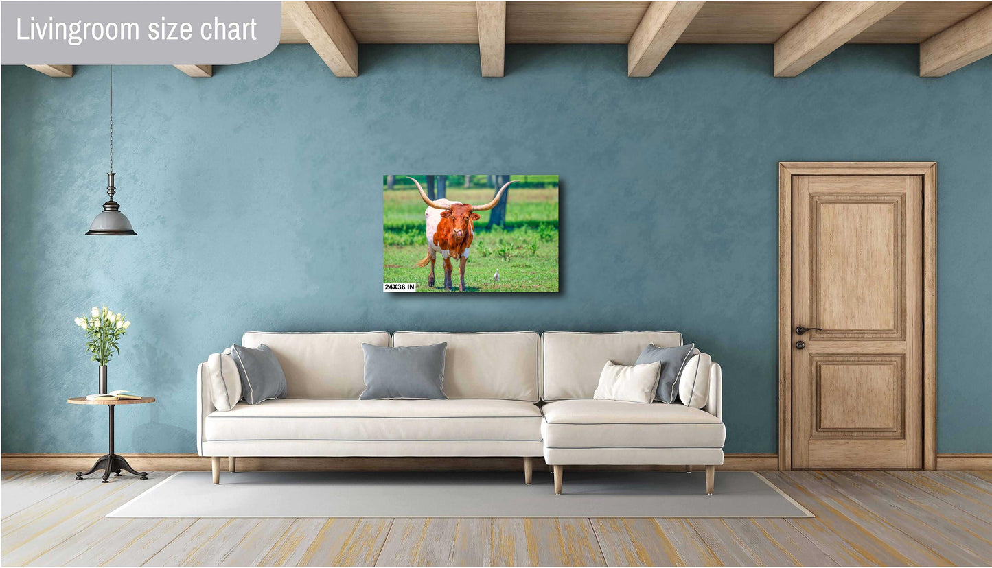 Longhorn Steer Springtime Photograph | Texas Photography Art Print | High Quality Canvas, Acrylic & Metal Options