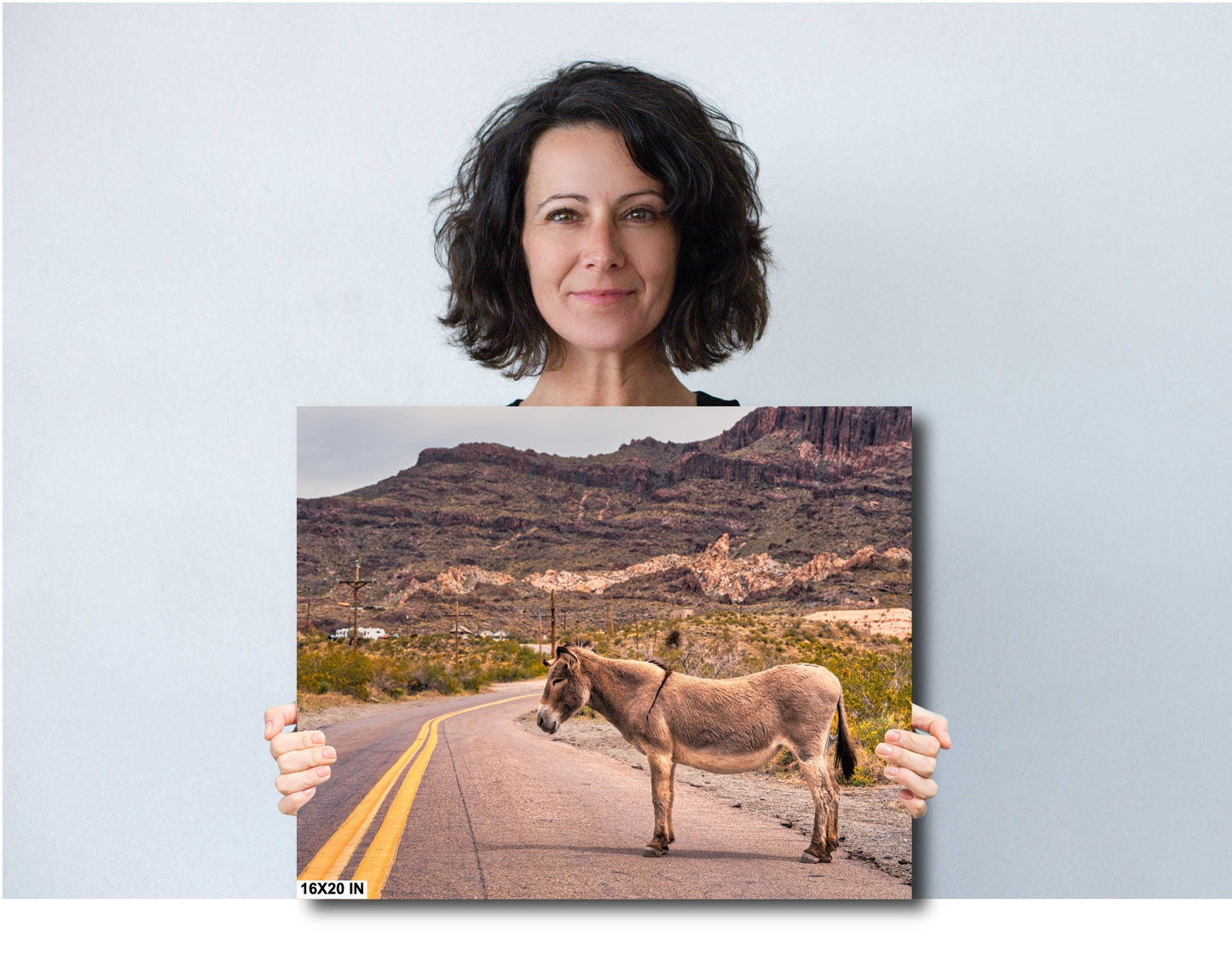 Route 66 Oatman Arizona Donkey Wall Art Print | Americana Desert Photography | Home Decor & Gifts