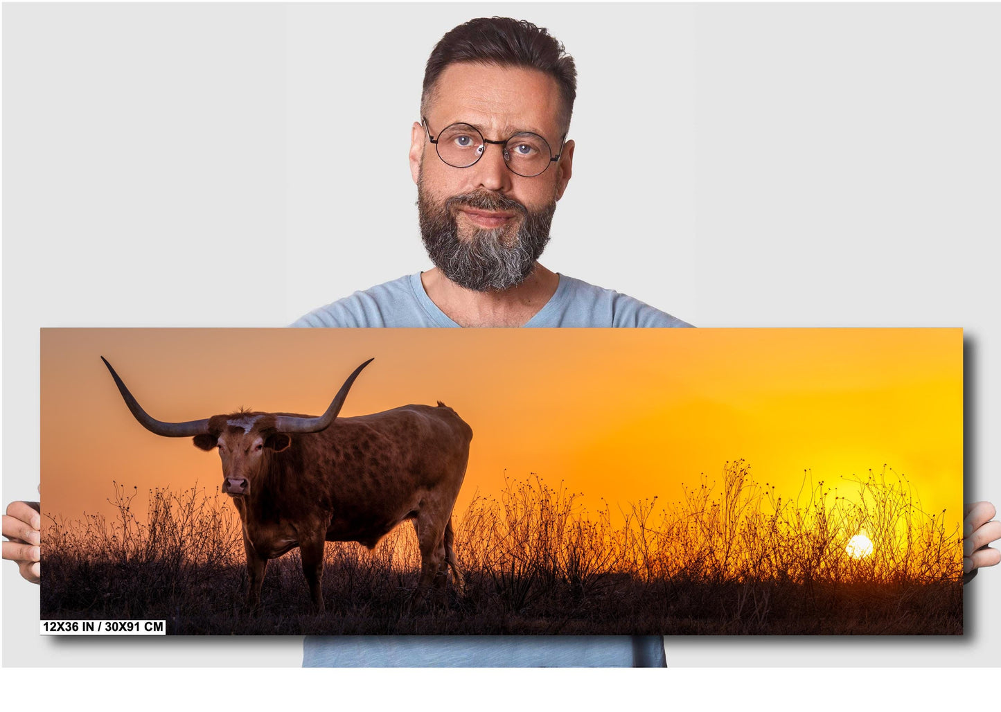 Texas Longhorn Steer at Sunset Wall Decor - Backroad Bull Photography on Premium Paper, Canvas, Acrylic, or Metal