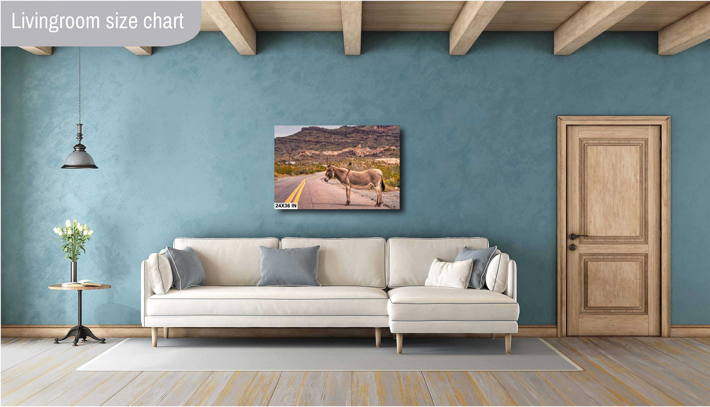 Route 66 Oatman Arizona Donkey Wall Art Print | Americana Desert Photography | Home Decor & Gifts