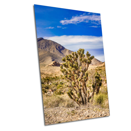 Joshua Tree Nevada Desert Landscape Fine Art Photography Print - Wall Decor on Various Media