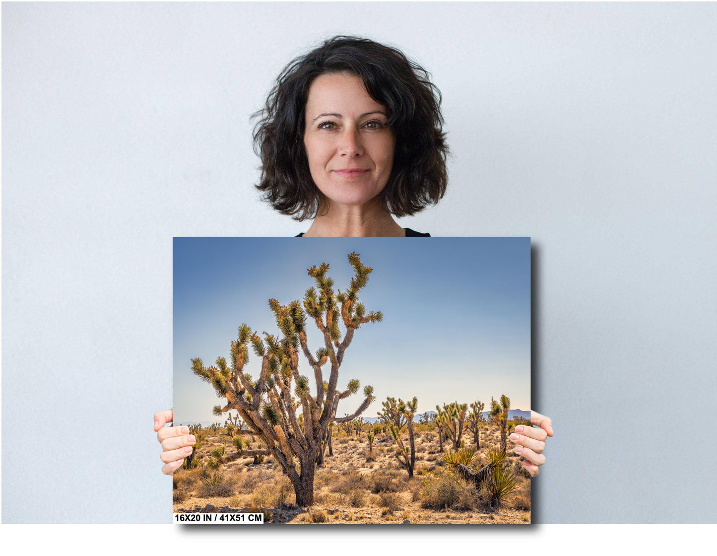 Joshua Tree National Park Photo Print: Desert Sunset Canvas & Metal Wall Art Decor, Nature Landscape Decor Poster