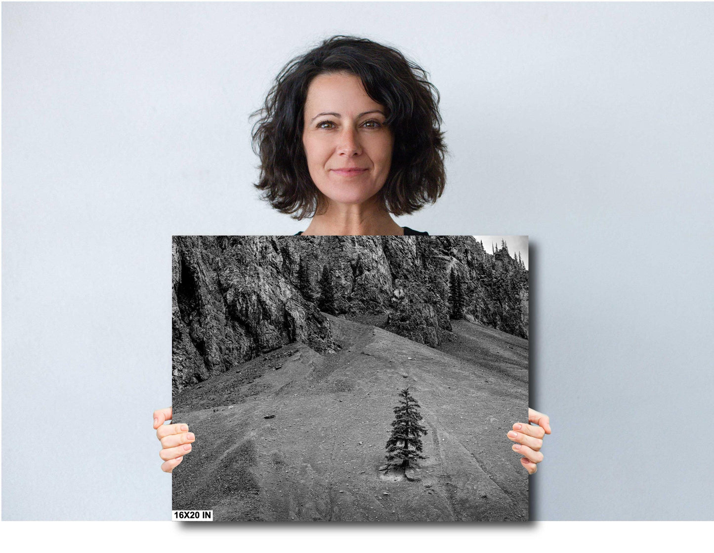 Mountain Wall Art - Lone Pine Tree in Rocky Mountains: Black & White Nature Photography Wall Art Print - Colorado Alpine Loop