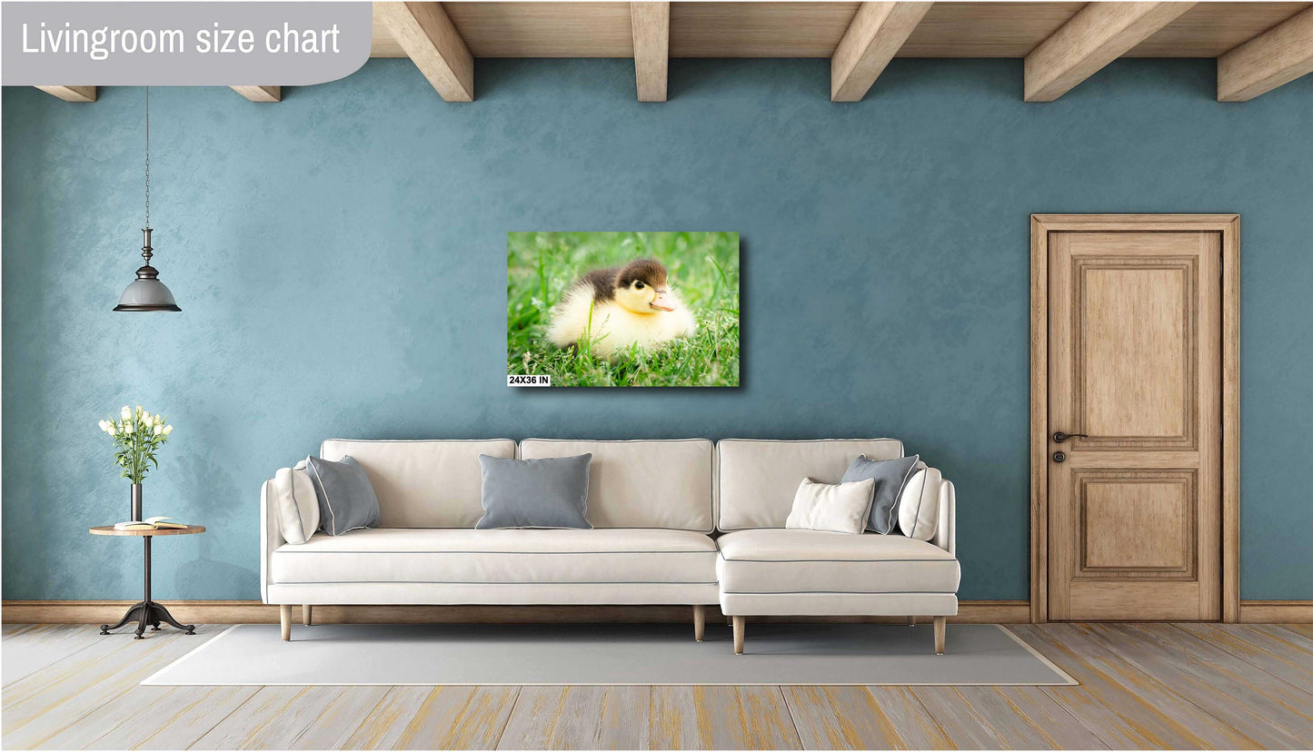 Nursery Wall Decor - Adorable Duckling Print: Nursery Farm Animal Wall Art for Modern Farmhouse Decor (Paper/Canvas/Acrylic/Metal)