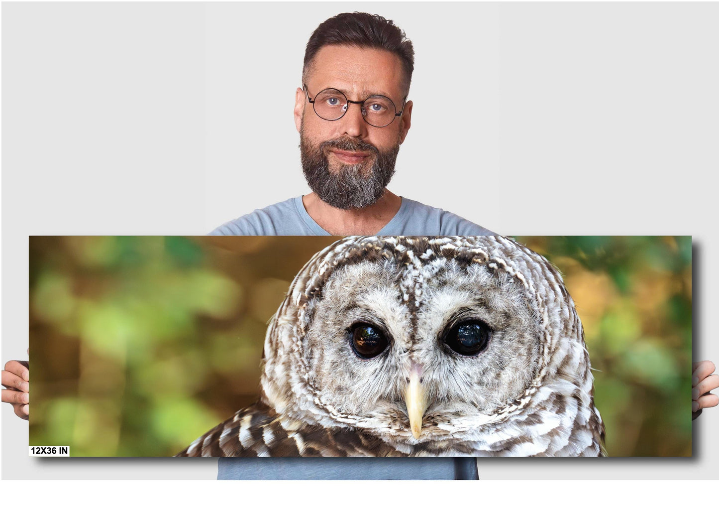 Barred Owl Portrait: Premium Photo Paper or Ready to Hang Canvas, Acrylic or Metal Wildlife Wall Art for Nature Lovers