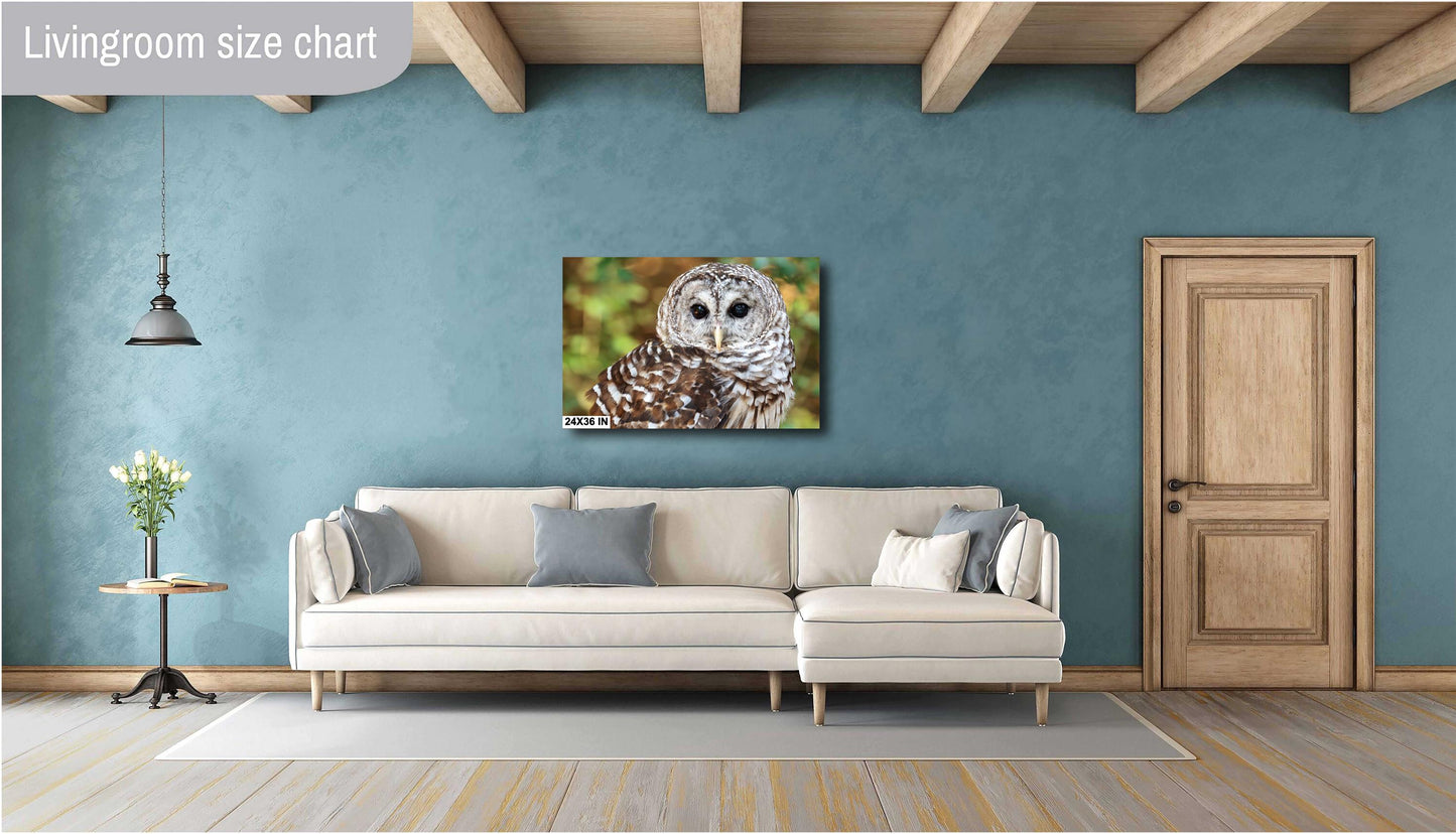 Barred Owl Portrait: Premium Photo Paper or Ready to Hang Canvas, Acrylic or Metal Wildlife Wall Art for Nature Lovers