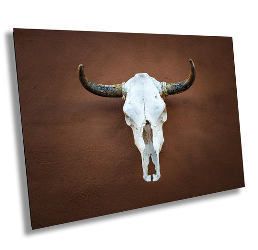 Texas Longhorn Skull Print: Western Steer Art on Leather, Canvas, Acrylic, Metal or Photo Paper