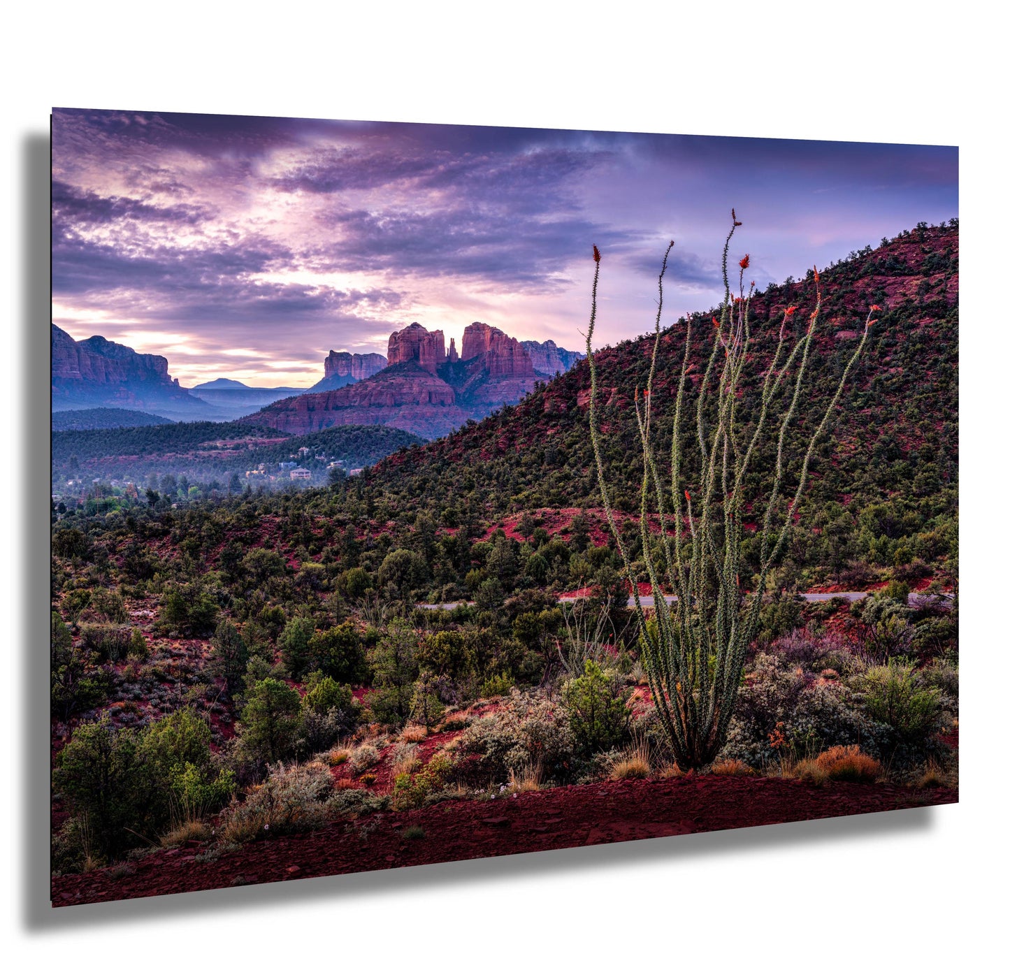 Sedona Print - Cathedral Rock Sunrise Ocotillo, Southwest Home Decor Photography on Premium Photo Paper, Canvas, Acrylic, or Metal Art